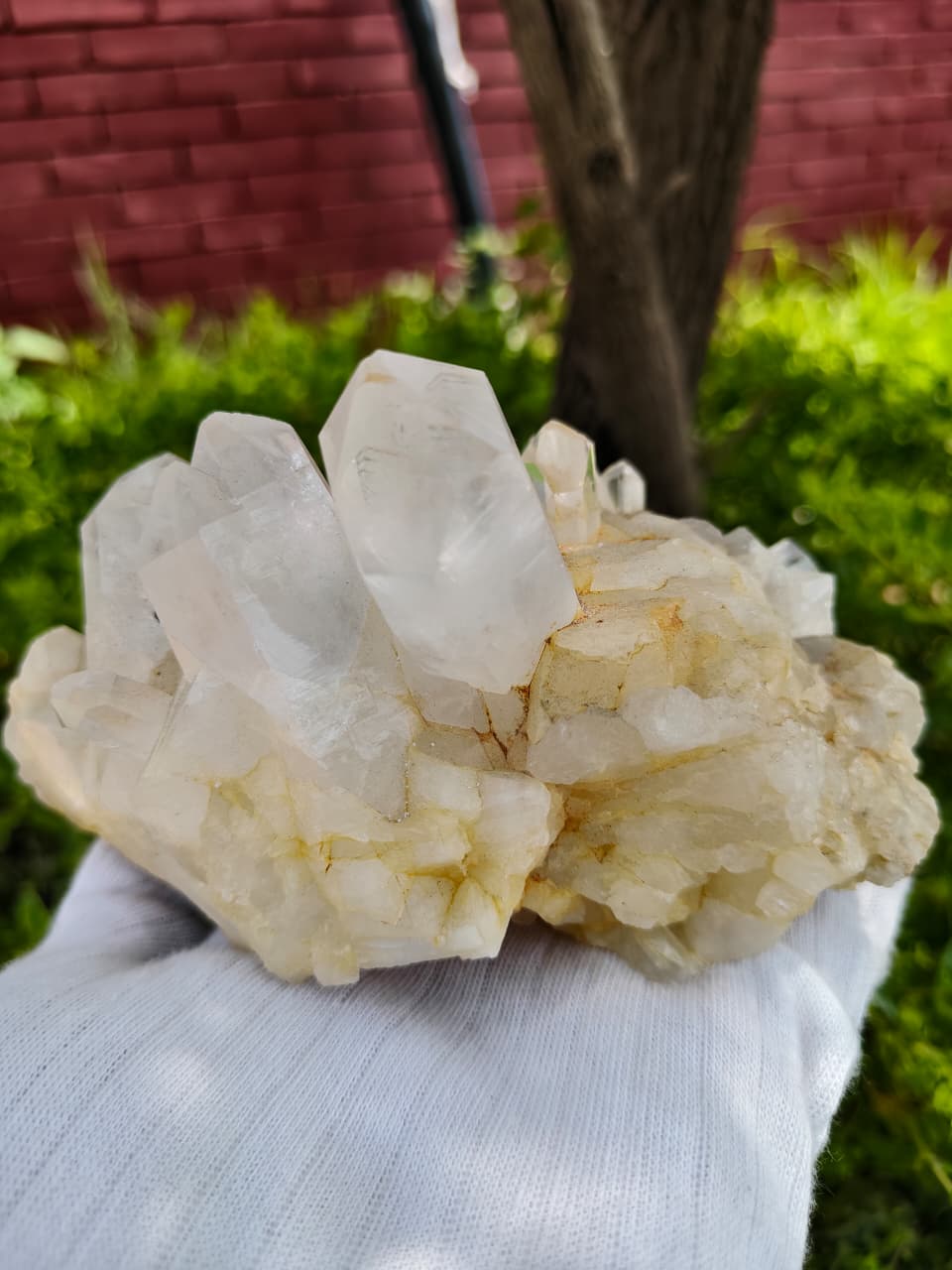 White Quartz Cluster