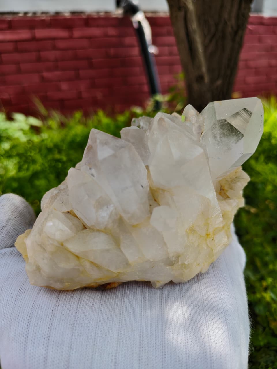 White Quartz Cluster