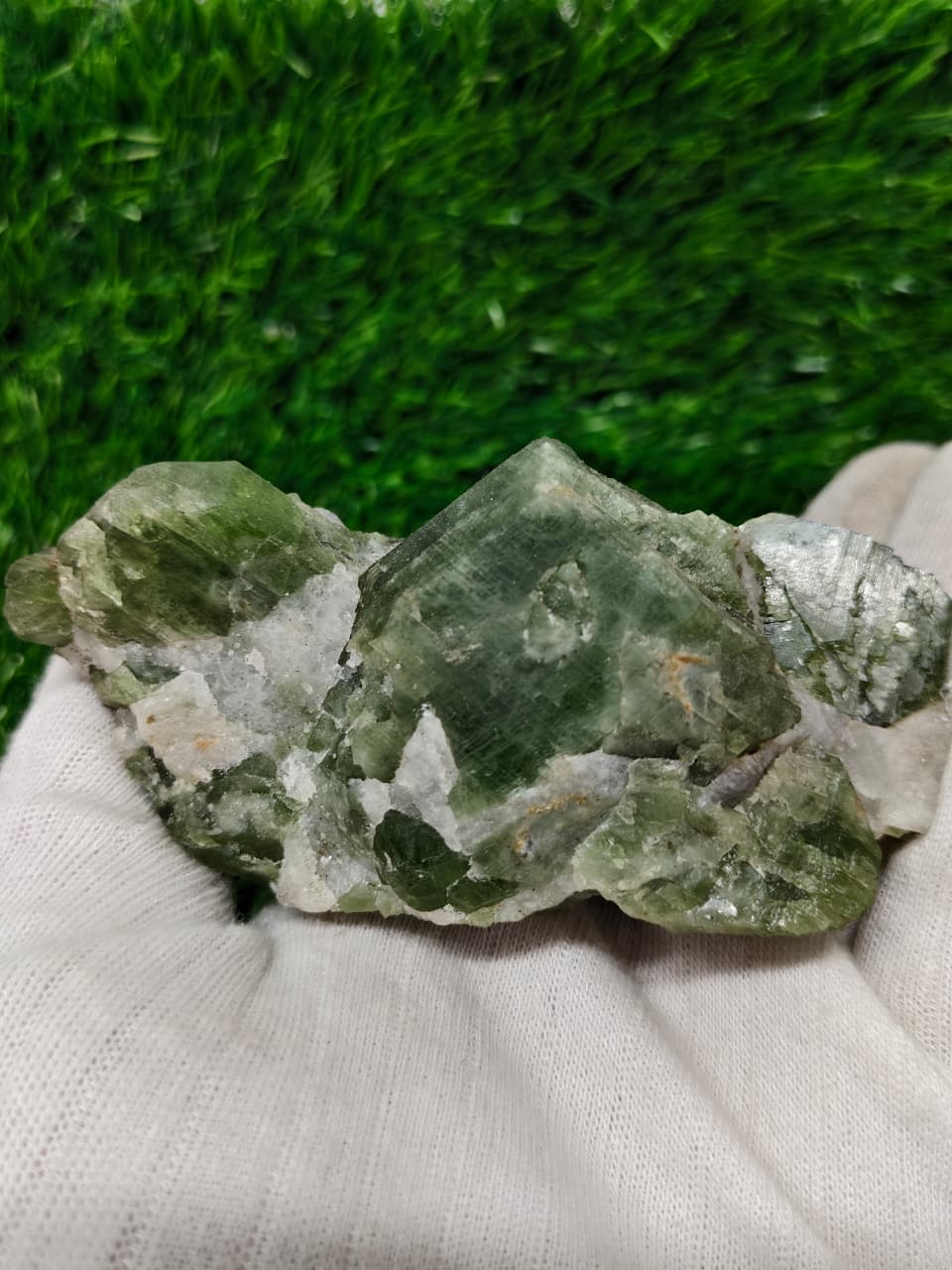 Pargasite Crystals in Matrix