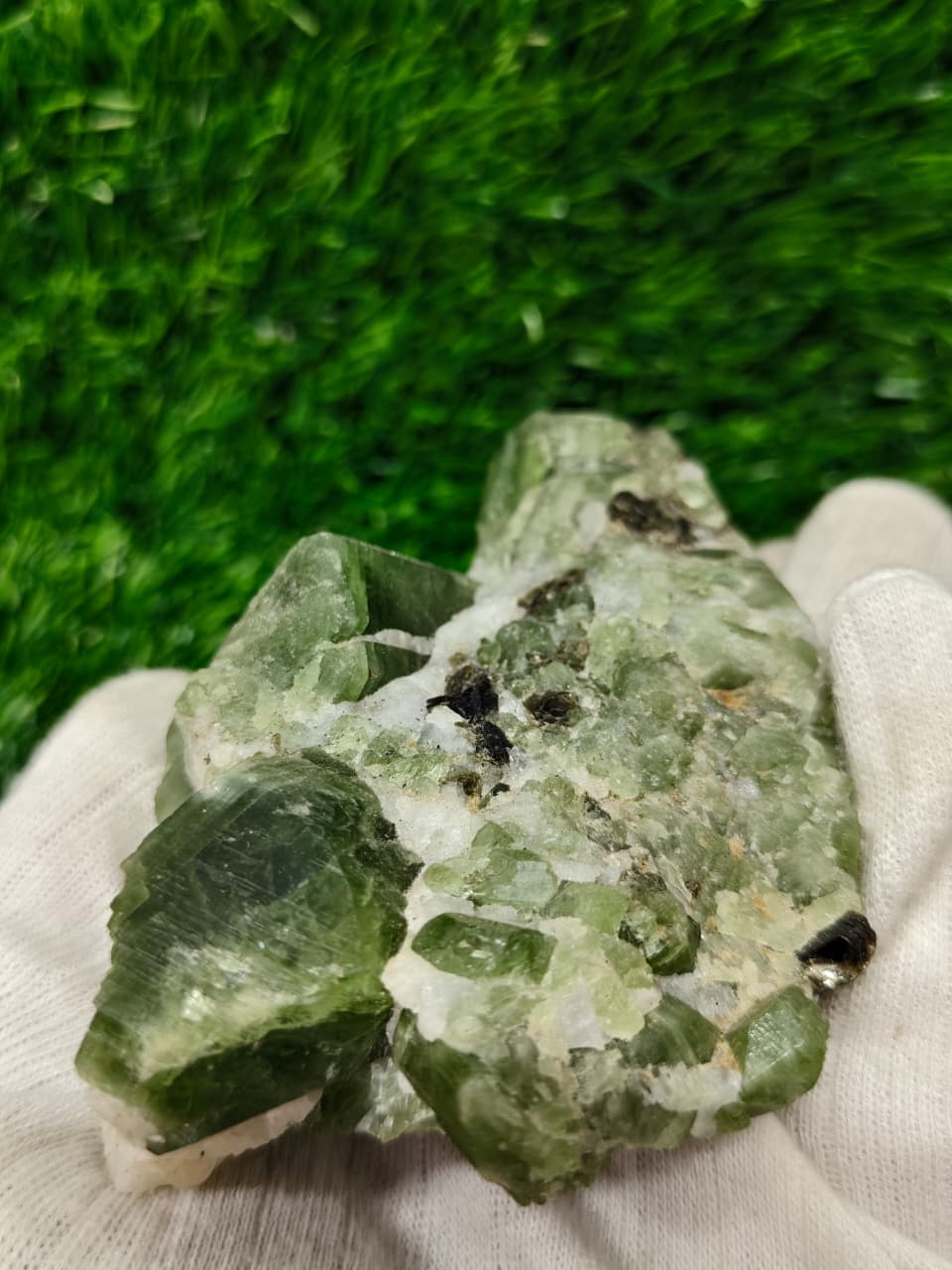 Pargasite Crystals in Matrix