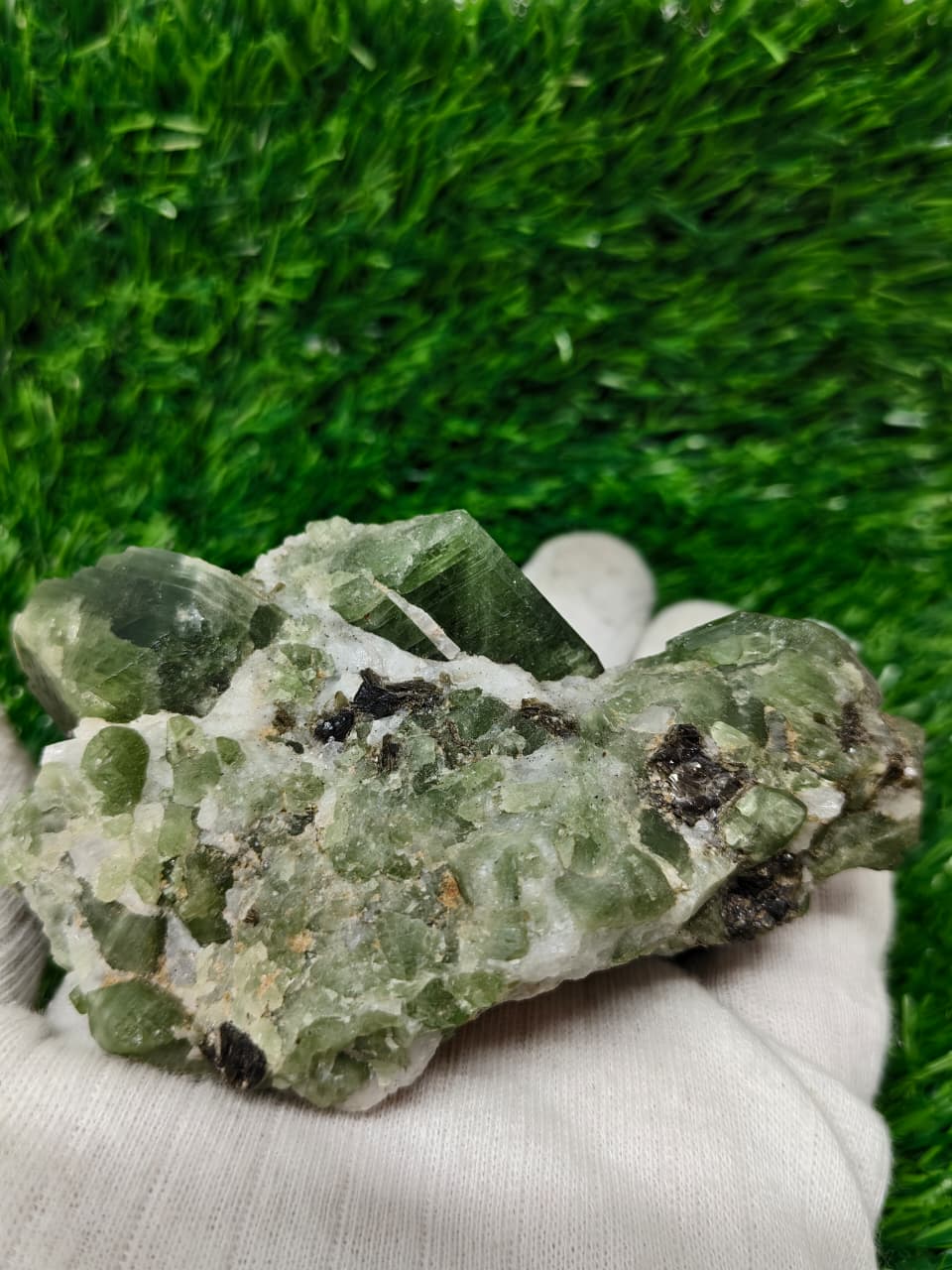 Pargasite Crystals in Matrix