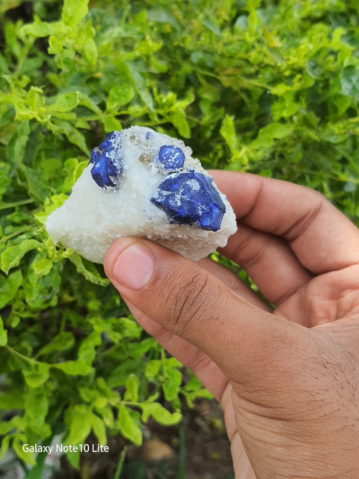Lapis Lazuli Specimen