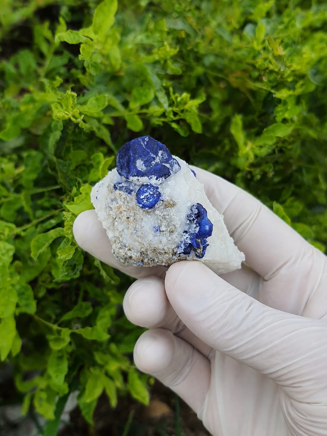 Lapis Lazuli Specimen