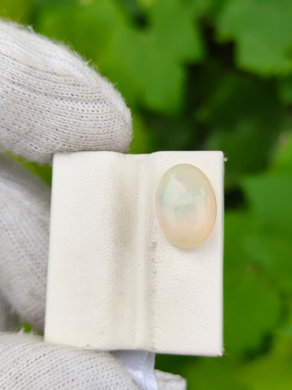Opal