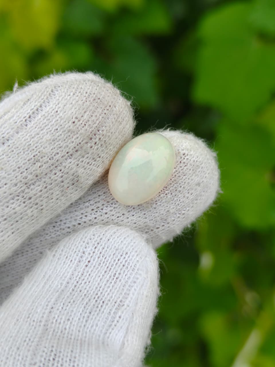 Opal