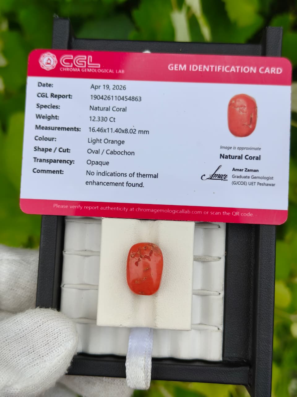 Coral